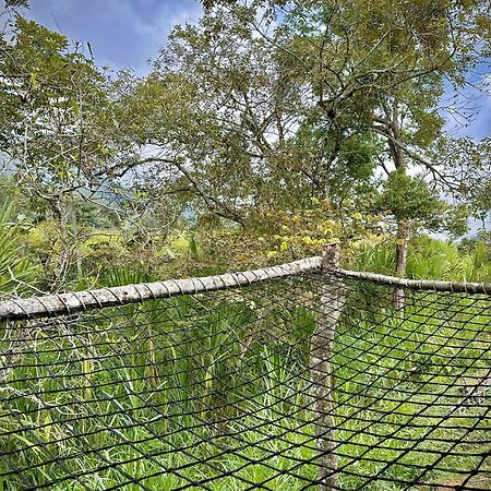 Finca Ecoparaiso Ibagué Eksteriør billede
