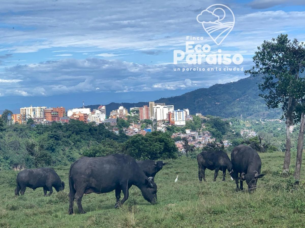Finca Ecoparaiso Ibagué Eksteriør billede