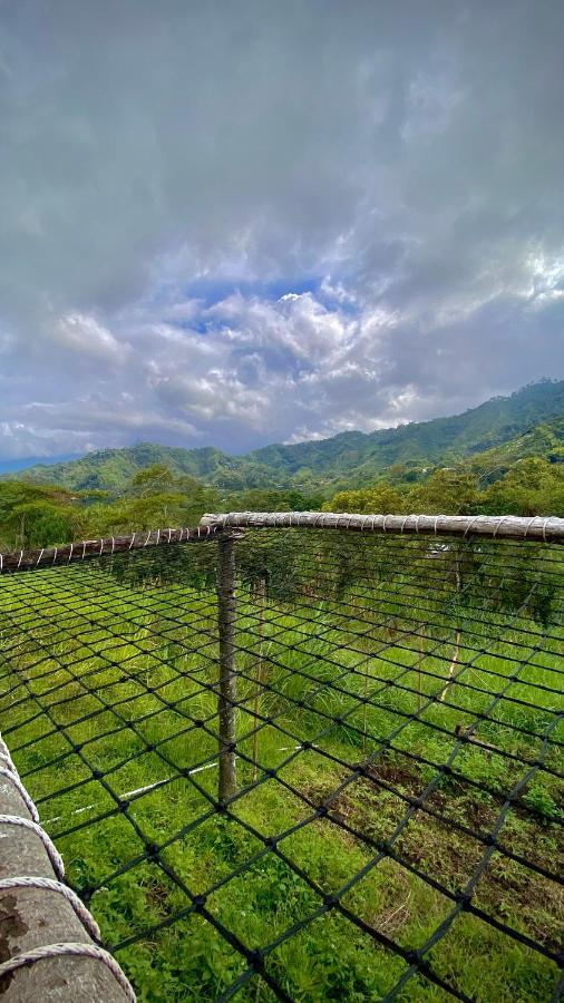 Finca Ecoparaiso Ibagué Eksteriør billede
