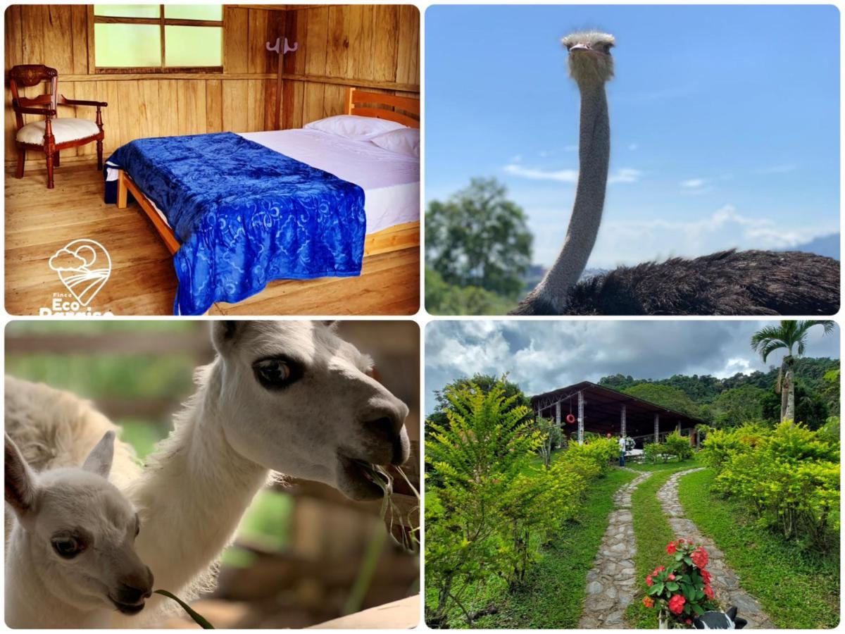 Finca Ecoparaiso Ibagué Eksteriør billede
