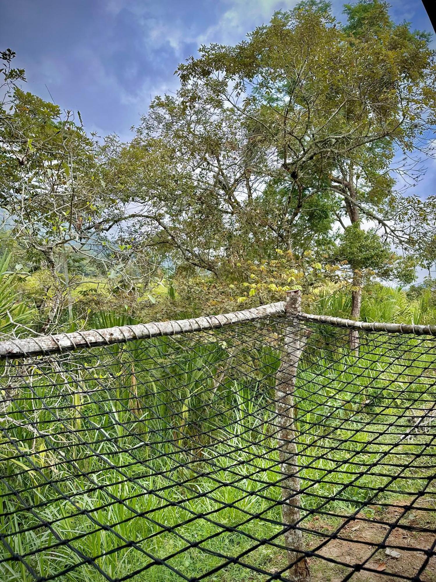 Finca Ecoparaiso Ibagué Eksteriør billede